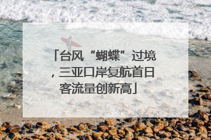 台风“蝴蝶”过境，三亚口岸复航首日客流量创新高