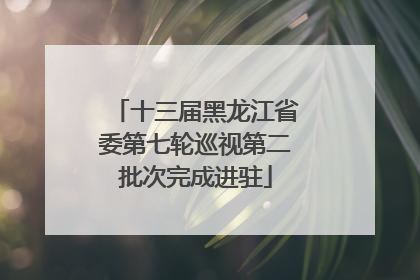 十三届黑龙江省委第七轮巡视第二批次完成进驻