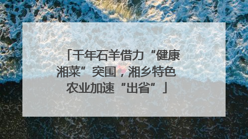 千年石羊借力“健康湘菜”突围，湘乡特色农业加速“出省”