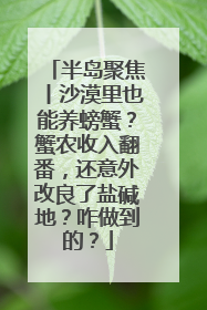 半岛聚焦丨沙漠里也能养螃蟹？蟹农收入翻番，还意外改良了盐碱地？咋做到的？