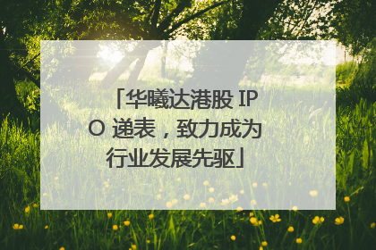 华曦达港股 IPO 递表，致力成为行业发展先驱