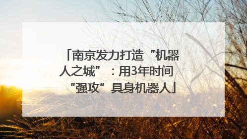 南京发力打造“机器人之城”：用3年时间“强攻”具身机器人