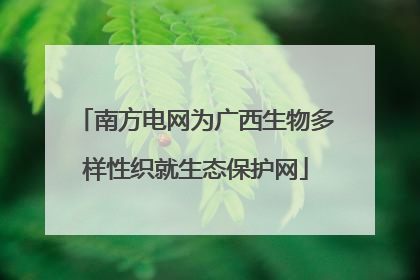 南方电网为广西生物多样性织就生态保护网