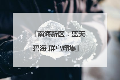 南海新区：蓝天碧海 群鸟翔集