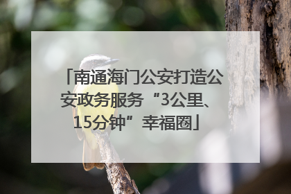 南通海门公安打造公安政务服务“3公里、15分钟”幸福圈