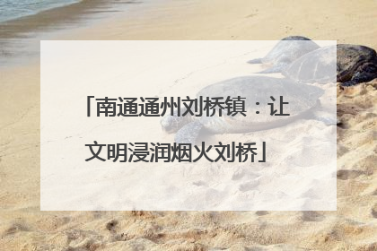 南通通州刘桥镇：让文明浸润烟火刘桥