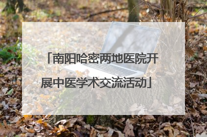 南阳哈密两地医院开展中医学术交流活动