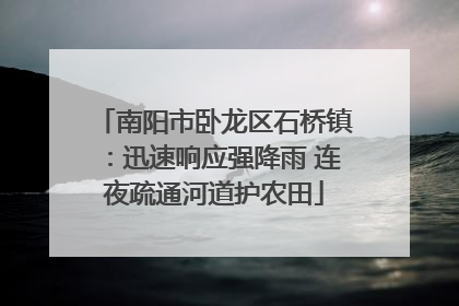 南阳市卧龙区石桥镇：迅速响应强降雨 连夜疏通河道护农田