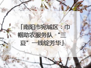 南阳市宛城区：巾帼助农服务队 “三夏”一线绽芳华