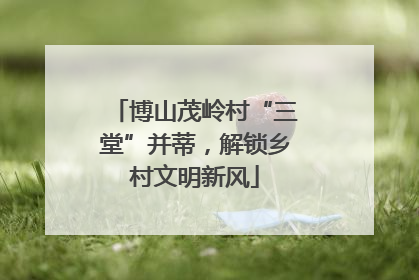 博山茂岭村“三堂”并蒂，解锁乡村文明新风