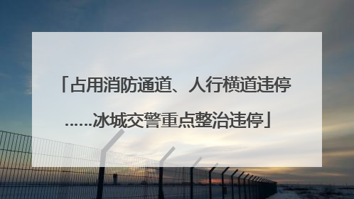 占用消防通道、人行横道违停……冰城交警重点整治违停