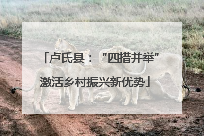 卢氏县：“四措并举”激活乡村振兴新优势
