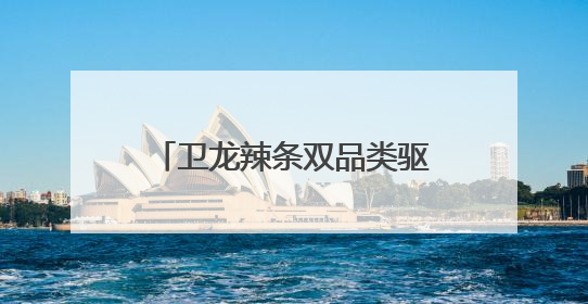 卫龙辣条双品类驱动，领航辣味休闲食品行业千亿赛道
