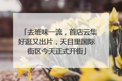 去班味一流，首店云集好逛又出片，天目里国际街区今天正式开街