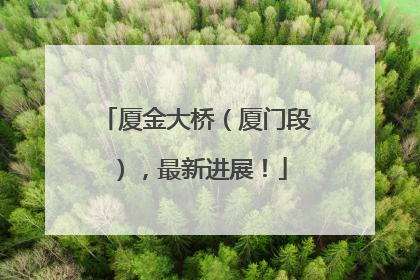 厦金大桥（厦门段），最新进展！