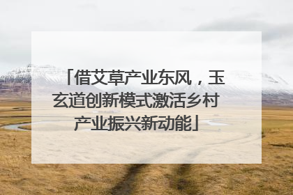 借艾草产业东风，玉玄道创新模式激活乡村产业振兴新动能