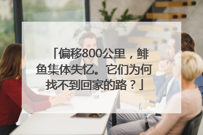 偏移800公里，鲱鱼集体失忆。它们为何找不到回家的路？