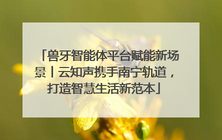 兽牙智能体平台赋能新场景丨云知声携手南宁轨道，打造智慧生活新范本