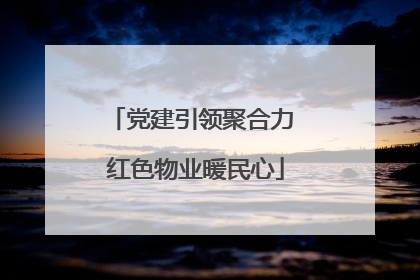 党建引领聚合力 红色物业暖民心