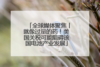 全球媒体聚焦丨就像过量的药！美国关税可能阻碍该国电池产业发展