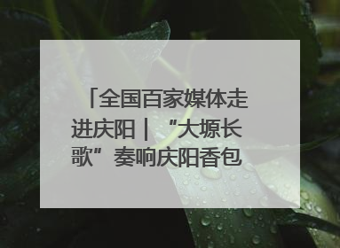 全国百家媒体走进庆阳｜“大塬长歌”奏响庆阳香包民俗文化节序曲
