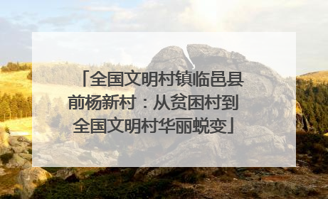 全国文明村镇临邑县前杨新村：从贫困村到全国文明村华丽蜕变