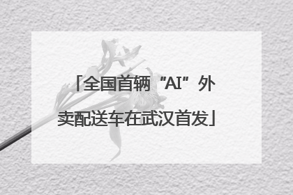 全国首辆“AI”外卖配送车在武汉首发