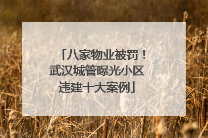 八家物业被罚！武汉城管曝光小区违建十大案例