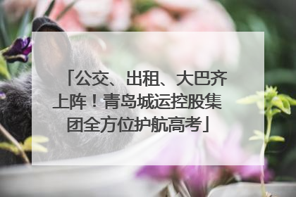 公交、出租、大巴齐上阵！青岛城运控股集团全方位护航高考