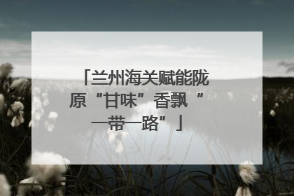 兰州海关赋能陇原“甘味”香飘“一带一路”
