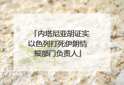 内塔尼亚胡证实以色列打死伊朗情报部门负责人