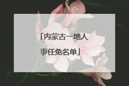 内蒙古一地人事任免名单