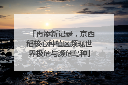 再添新记录，京西稻核心种植区频现世界极危与濒危鸟种