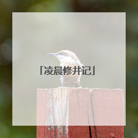 凌晨修井记