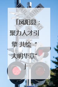凤阳县：聚力人才引擎 共绘“大明华章”