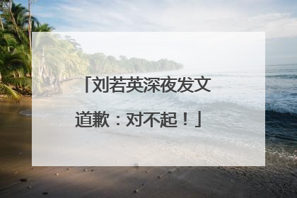 刘若英深夜发文道歉：对不起！