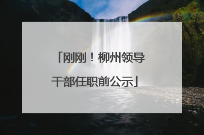 刚刚！柳州领导干部任职前公示