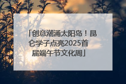 创意潮涌太阳岛！昆仑学子点亮2025首届端午节文化周