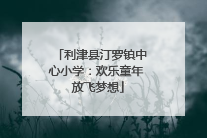 利津县汀罗镇中心小学：欢乐童年 放飞梦想