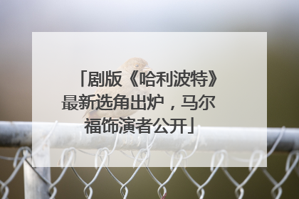 剧版《哈利波特》最新选角出炉，马尔福饰演者公开