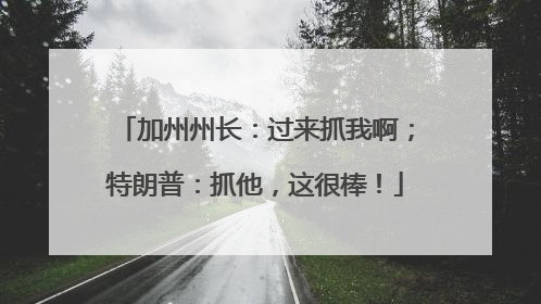 加州州长：过来抓我啊；特朗普：抓他，这很棒！