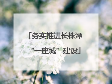 务实推进长株潭“一座城”建设