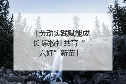 劳动实践赋能成长 家校社共育“六好”新苗