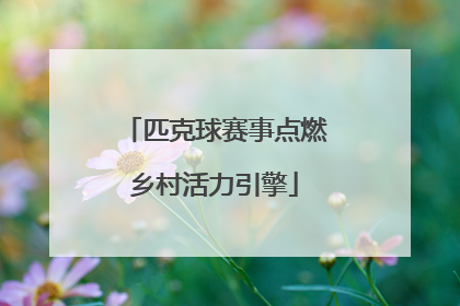 匹克球赛事点燃乡村活力引擎
