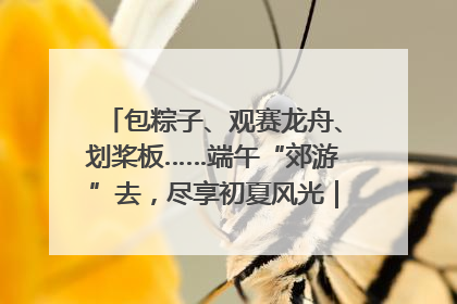 包粽子、观赛龙舟、划桨板……端午“郊游”去，尽享初夏风光｜端午氛围最浓时①