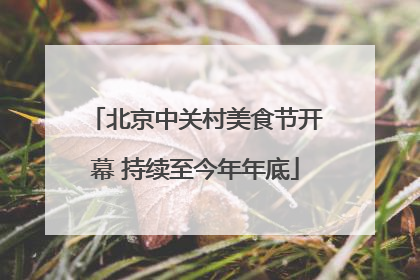 北京中关村美食节开幕 持续至今年年底