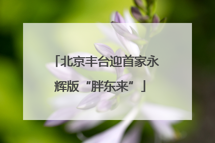 北京丰台迎首家永辉版“胖东来”