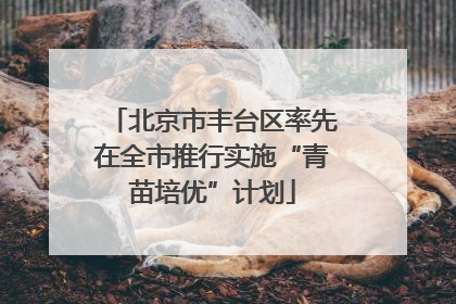 北京市丰台区率先在全市推行实施“青苗培优”计划