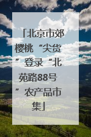 北京市郊樱桃“尖货”登录“北苑路88号”农产品市集