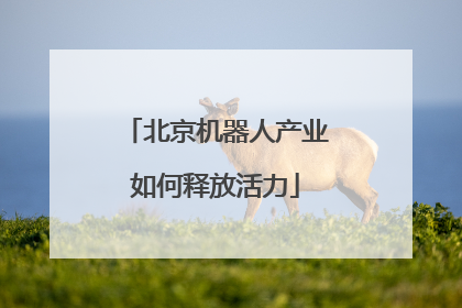 北京机器人产业如何释放活力